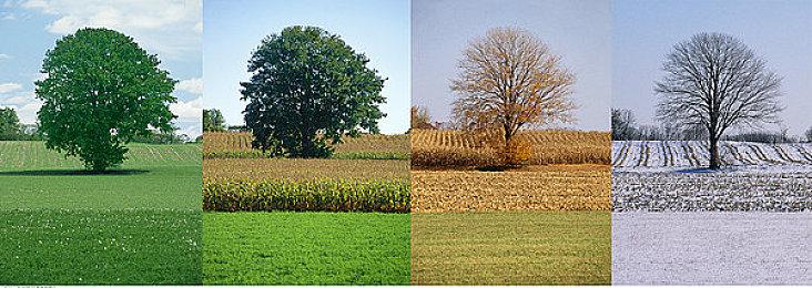 射击游戏《THE FINALS》跨平台公测 10月26日开启